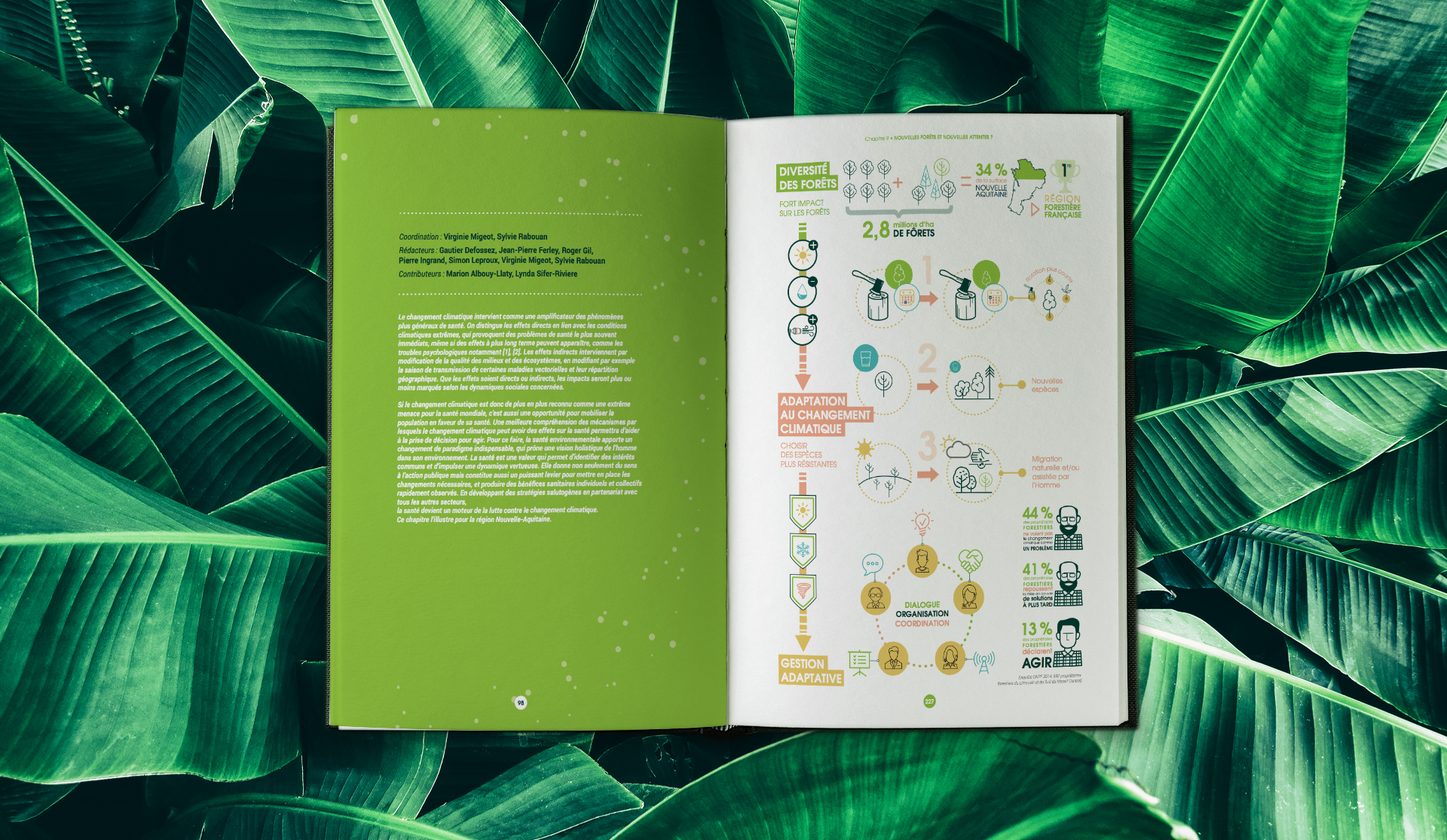 Pages intérieures du rapport Acclima Terra
