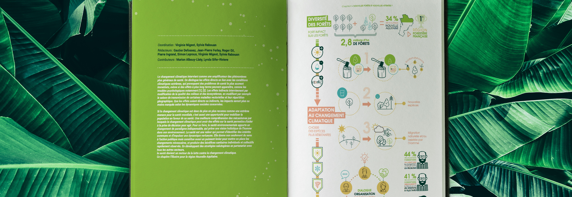 Double-page du rapport Acclima Terra