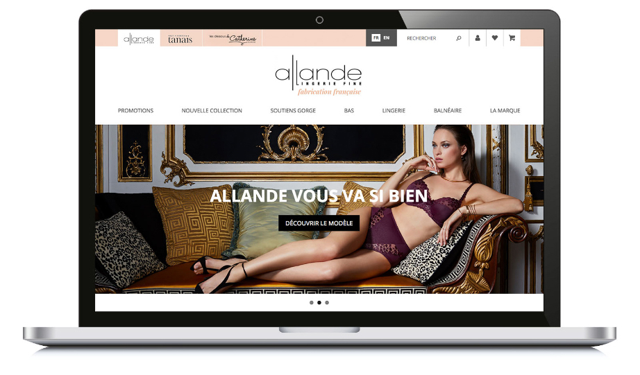 Page d'accueil du site Allande