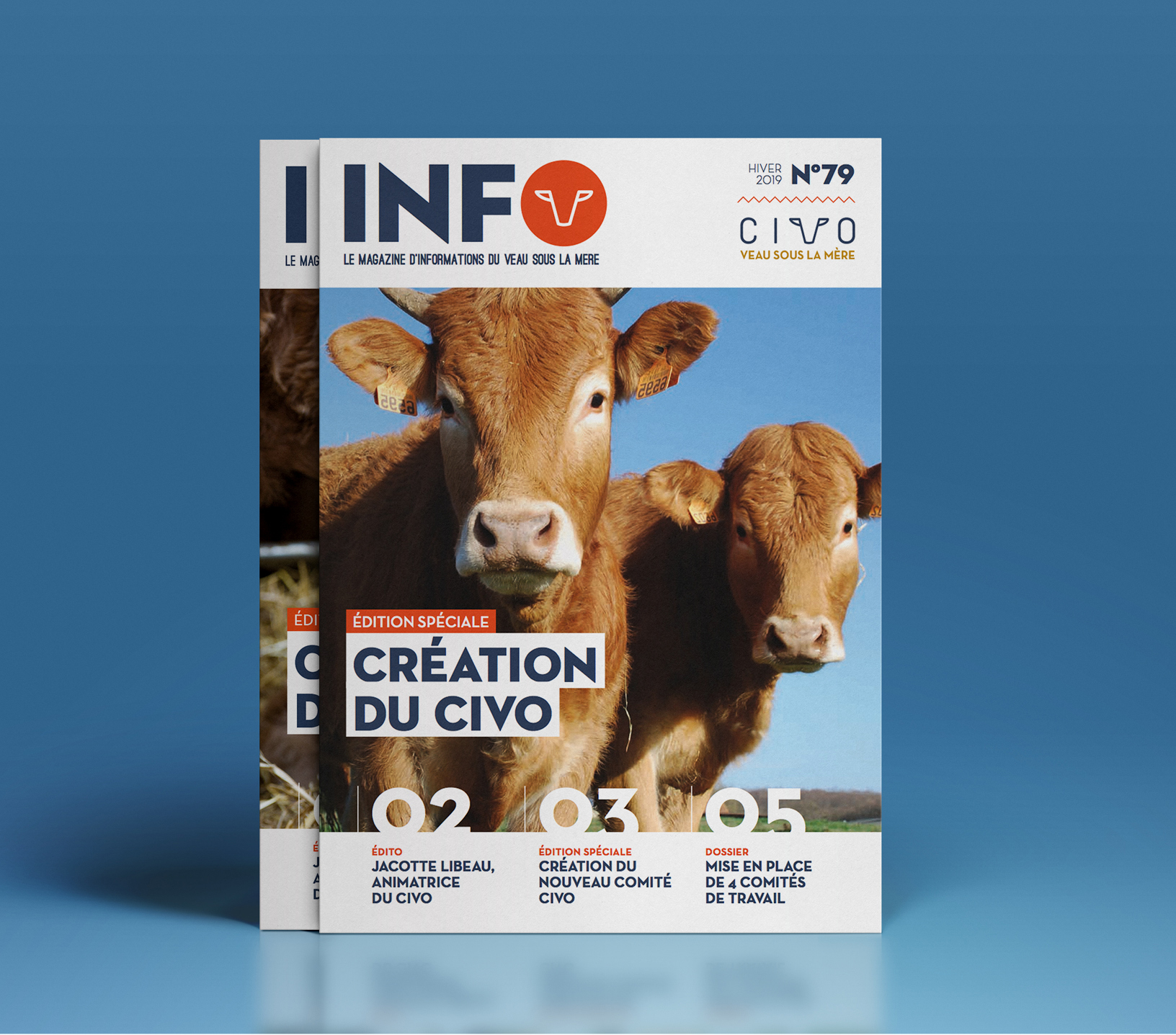 Couverture du journal du CIVO