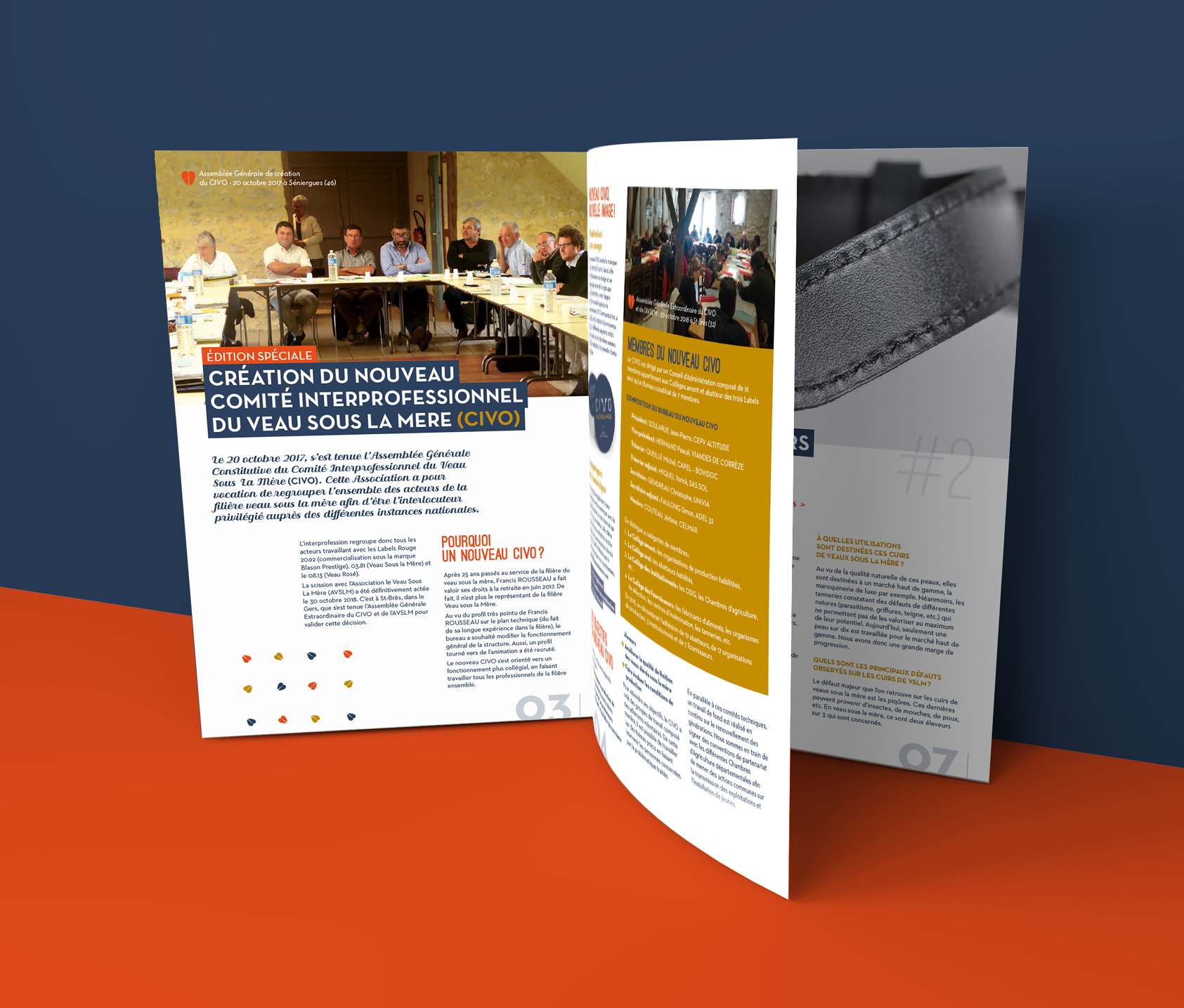 Pages interieures du journal du CIVO