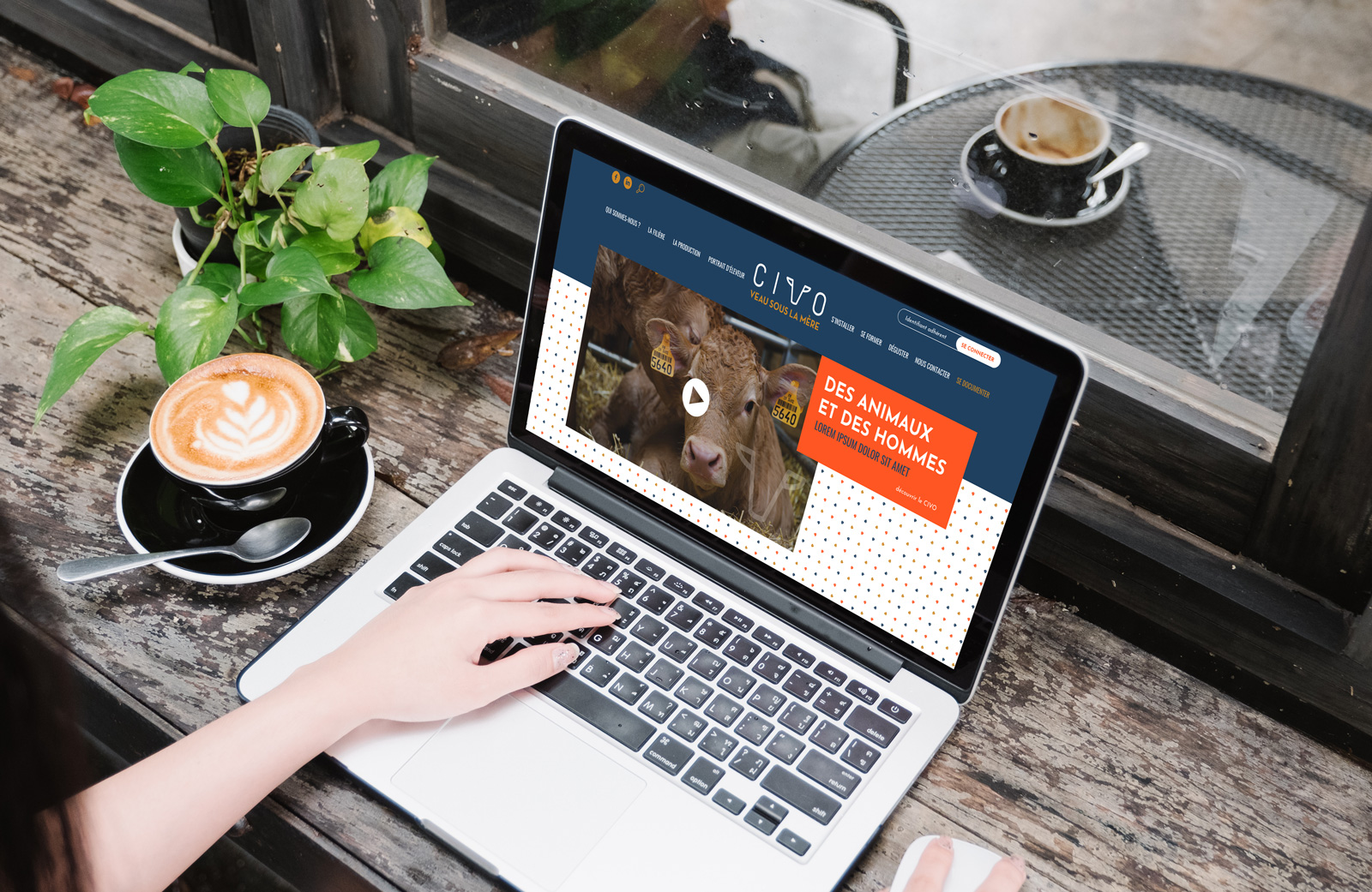 Page d'accueil du site internet du CIVO